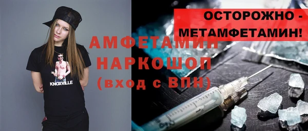 гидра Вяземский