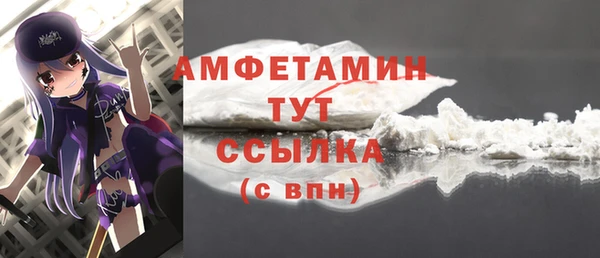 шишки Горняк