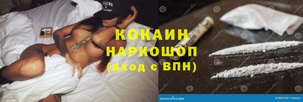 стаф Вязьма
