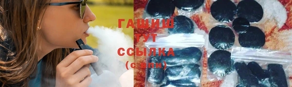 шишки Горняк