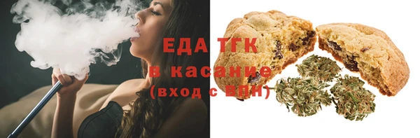 шишки Горняк