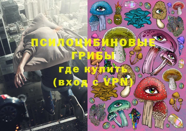шишки Горняк